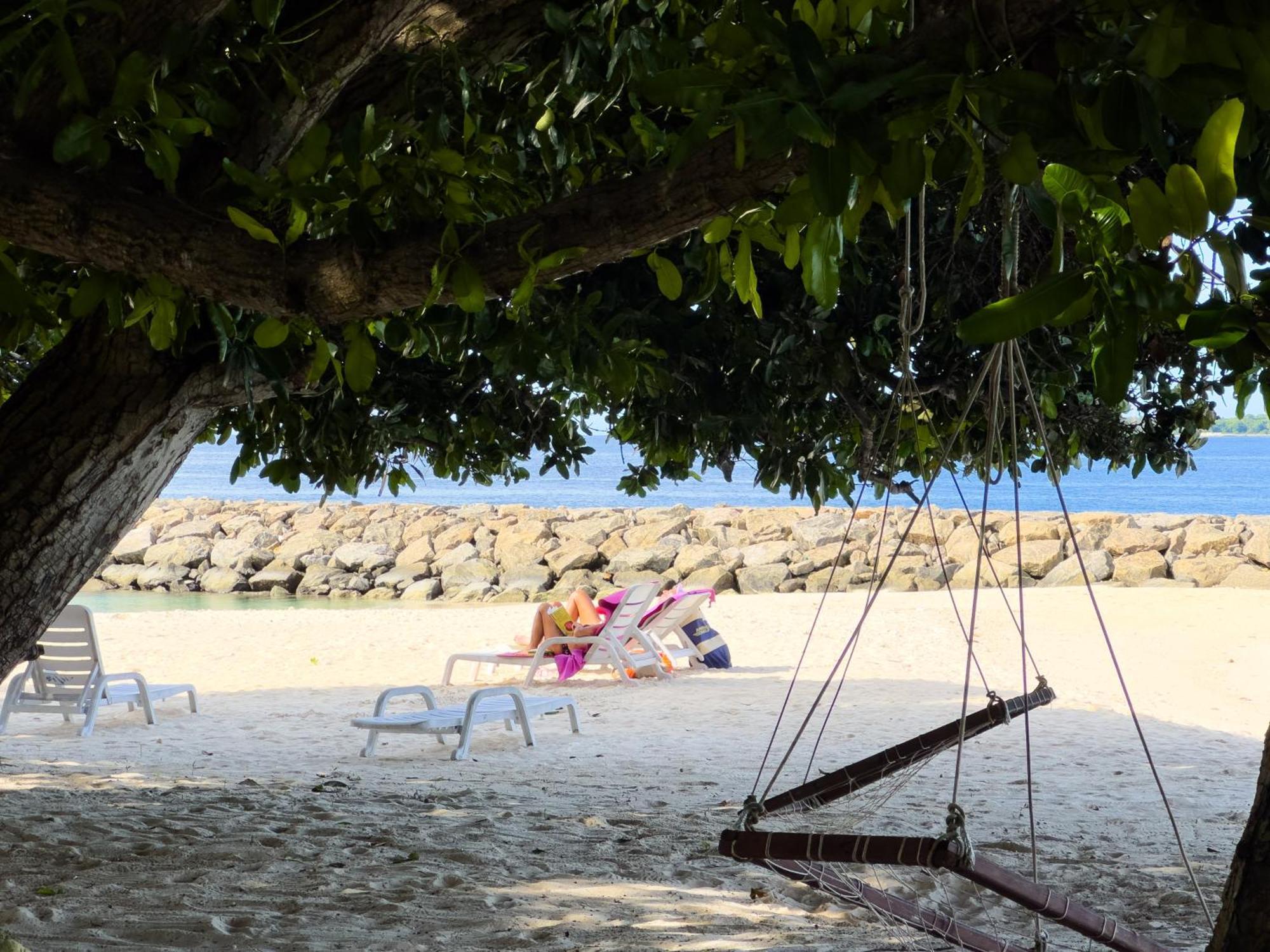 Biosphere Inn Dharavandhoo Dış mekan fotoğraf