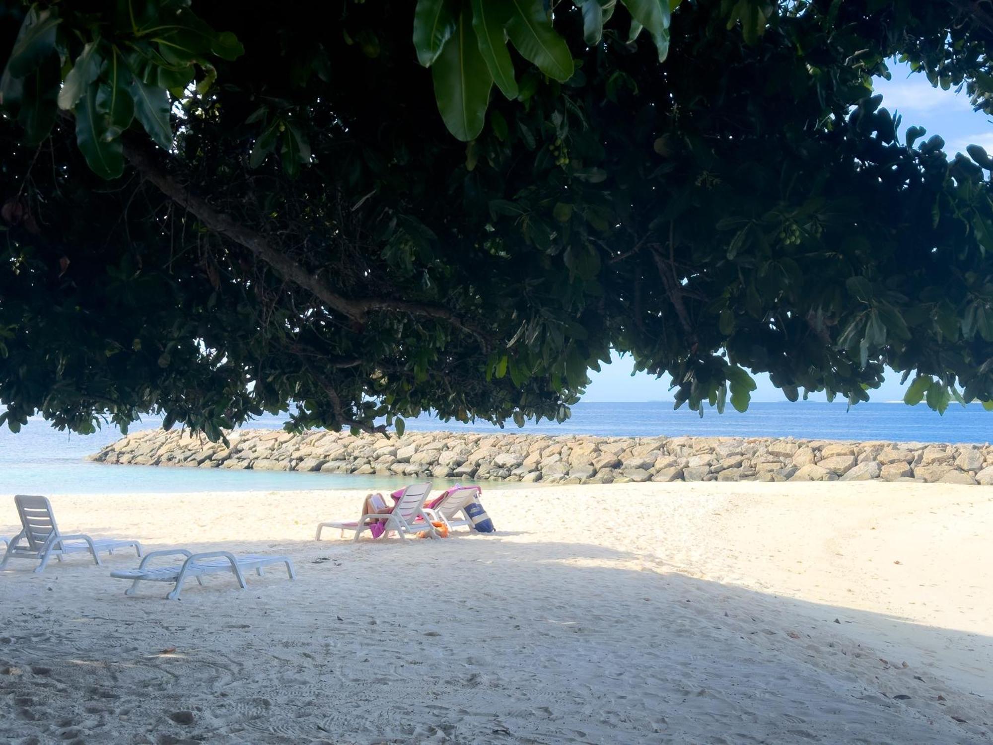 Biosphere Inn Dharavandhoo Dış mekan fotoğraf