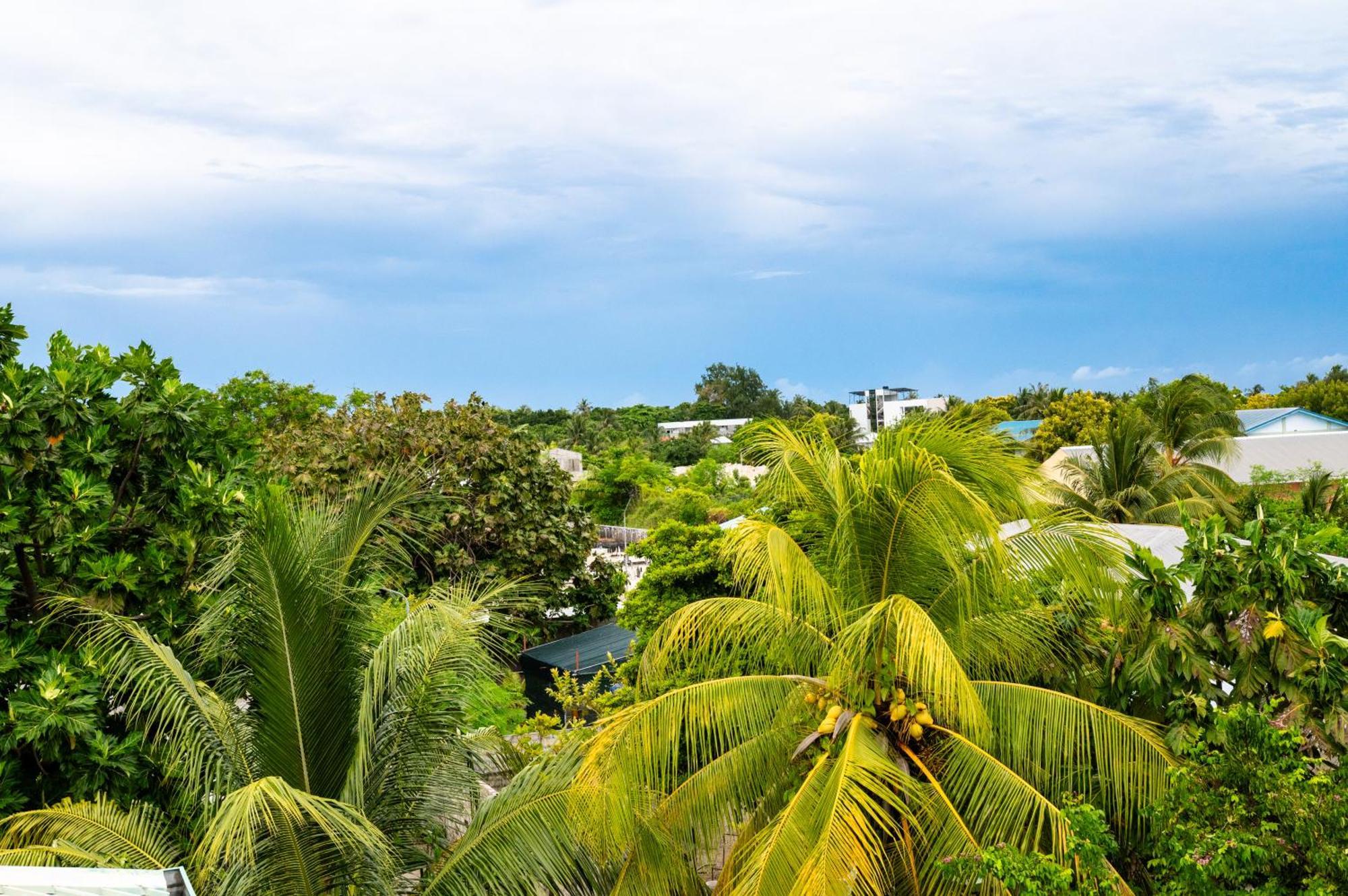Biosphere Inn Dharavandhoo Dış mekan fotoğraf